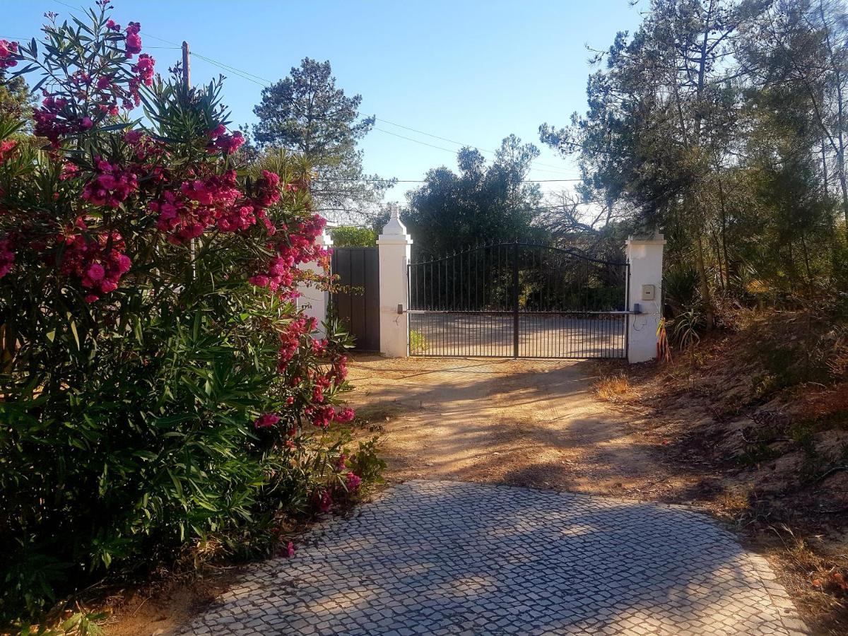 Casa ROMANCE da Valdareina, Bénagil, Carvoeiro, Marinha Carvoeiro (Lagoa) Exterior foto